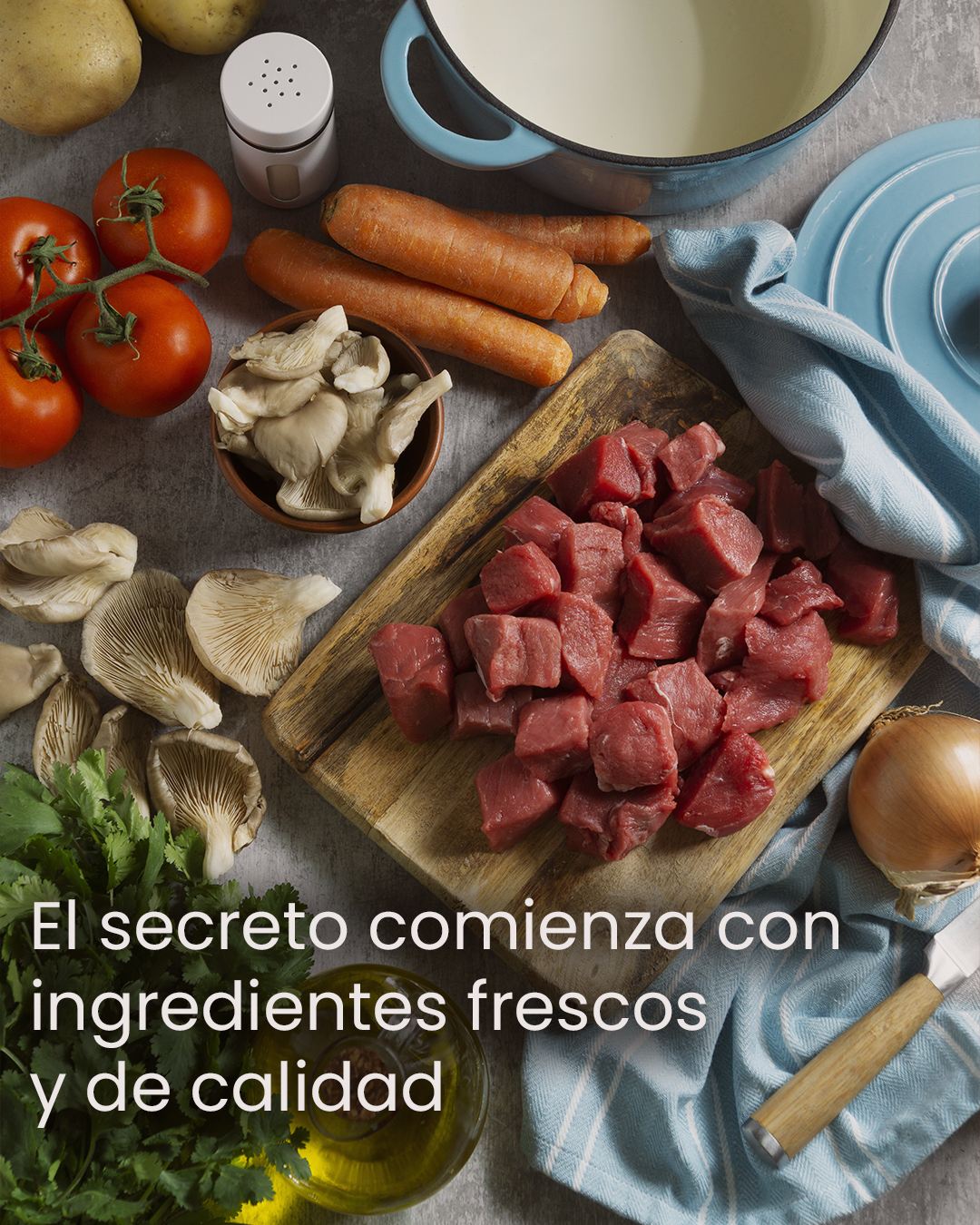 Alma Gourmet